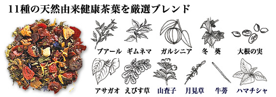 お試し用新通通減肥茶 すこやか茶屋公式オンラインショップ 株 日本サイプレス